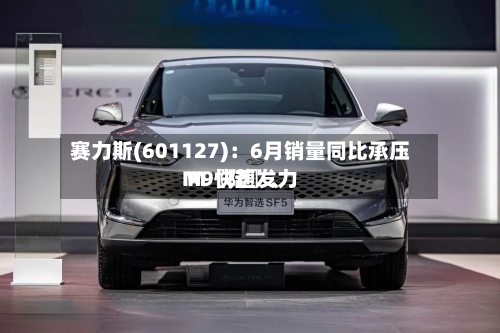 赛力斯(601127)：6月销量同比承压 M〖陆〗	、M9快速发力-第2张图片
