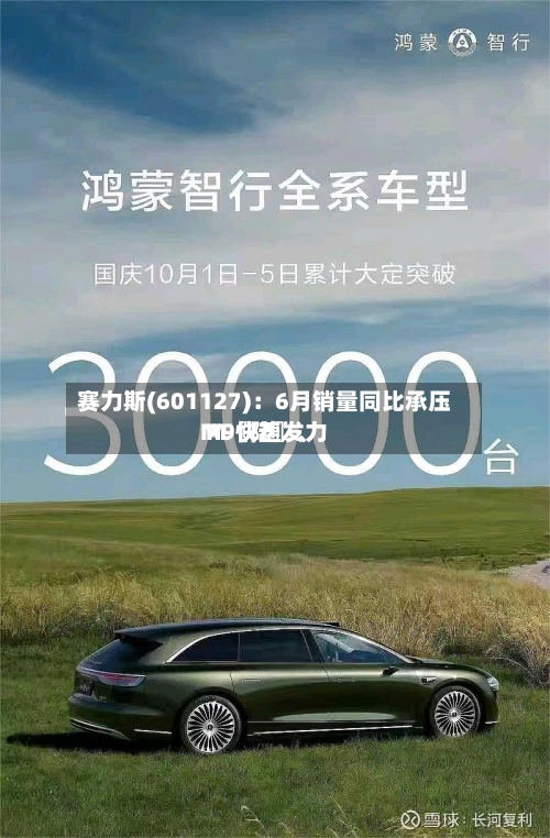 赛力斯(601127)：6月销量同比承压 M〖陆〗、M9快速发力