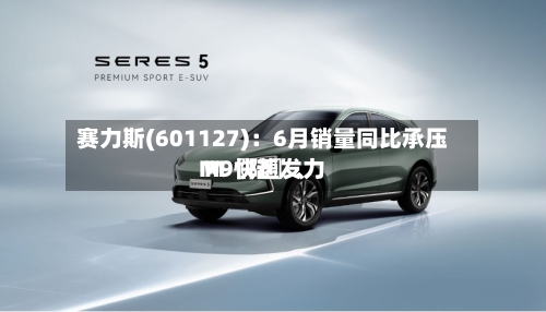 赛力斯(601127)：6月销量同比承压 M〖陆〗	、M9快速发力-第2张图片