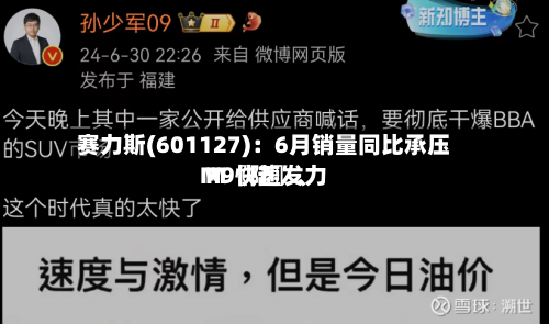 赛力斯(601127)：6月销量同比承压 M〖陆〗、M9快速发力