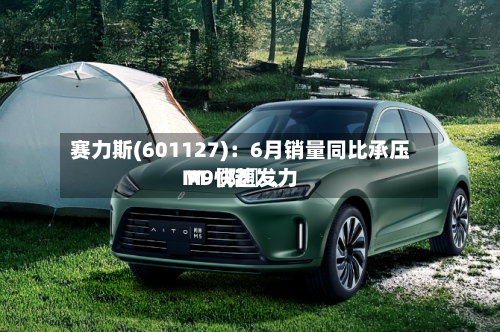 赛力斯(601127)：6月销量同比承压 M〖陆〗	、M9快速发力-第2张图片