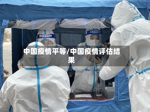 中国疫情平等/中国疫情评估结果