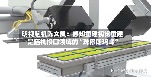 明视脑机陈文凯：感知重建视觉重建是脑机接口领域的“珠穆朗玛峰”-第2张图片