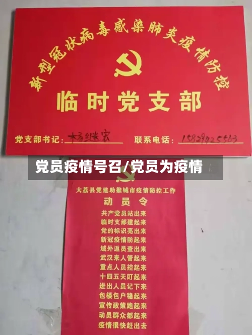 党员疫情号召/党员为疫情