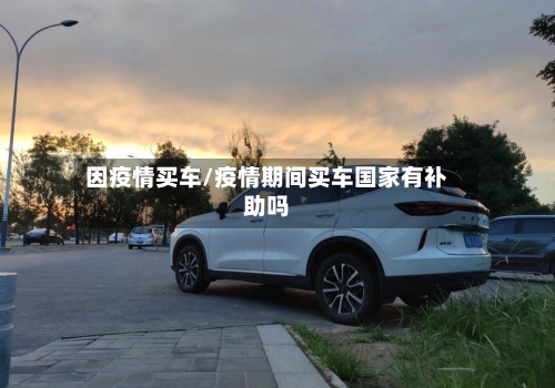 因疫情买车/疫情期间买车国家有补助吗