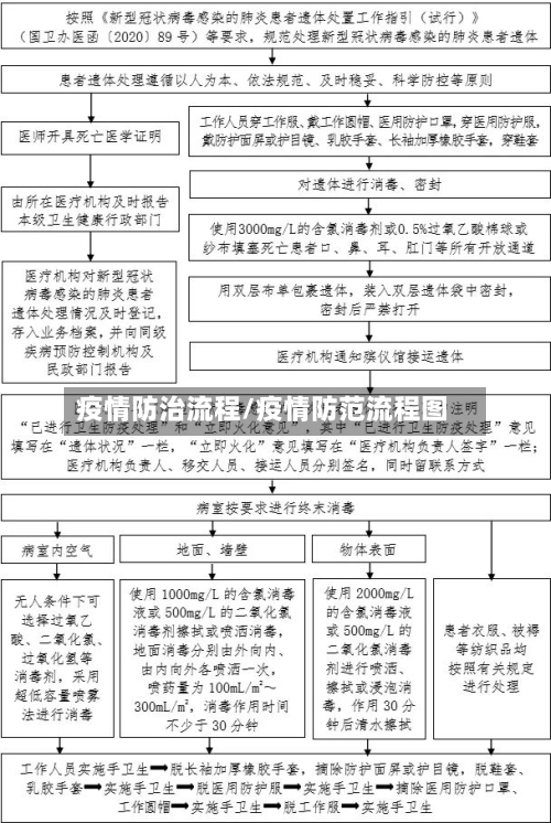 疫情防治流程/疫情防范流程图
