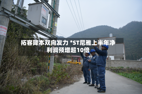 拓客降本双向发力 *ST尼雅上半年净利润预增超10倍-第2张图片
