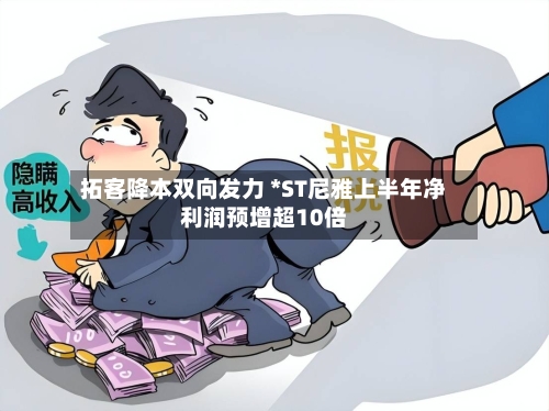 拓客降本双向发力 *ST尼雅上半年净利润预增超10倍