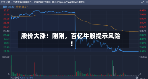 股价大涨！刚刚，百亿牛股提示风险！