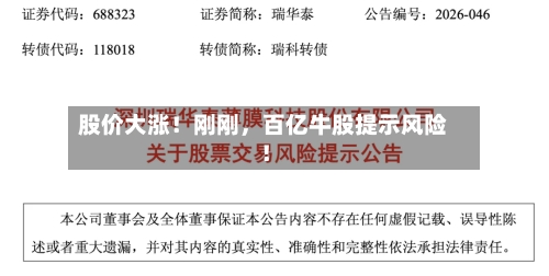 股价大涨！刚刚	，百亿牛股提示风险！-第2张图片