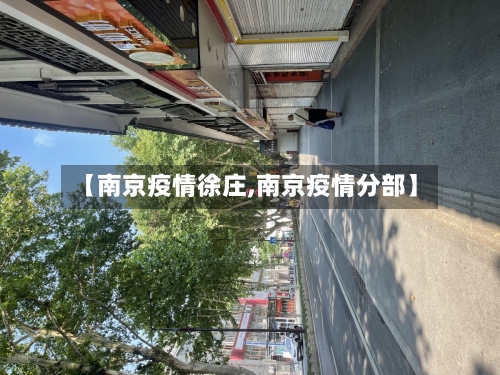【南京疫情徐庄,南京疫情分部】