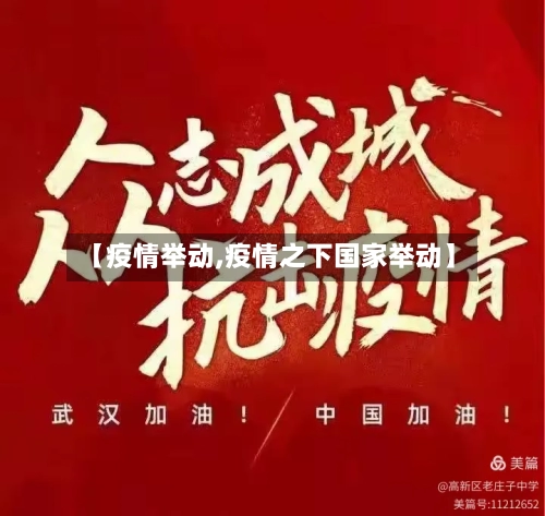 【疫情举动,疫情之下国家举动】-第2张图片