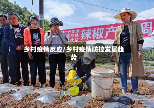乡村疫情反应/乡村疫情防控发展趋势-第3张图片