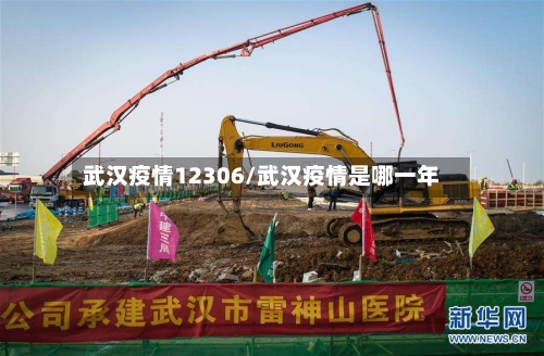 武汉疫情12306/武汉疫情是哪一年-第3张图片