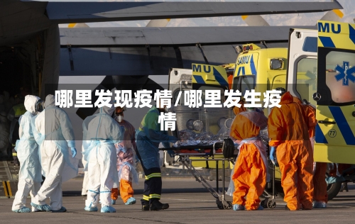 哪里发现疫情/哪里发生疫情