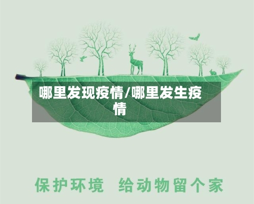 哪里发现疫情/哪里发生疫情-第2张图片