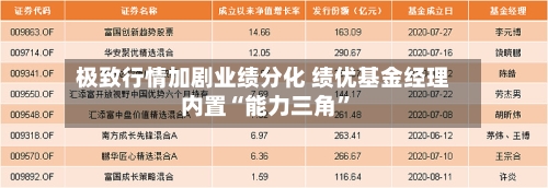 极致行情加剧业绩分化 绩优基金经理内置“能力三角”-第3张图片