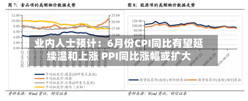 业内人士预计：6月份CPI同比有望延续温和上涨 PPI同比涨幅或扩大-第3张图片