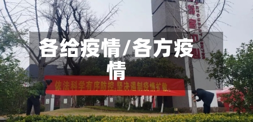各给疫情/各方疫情-第3张图片