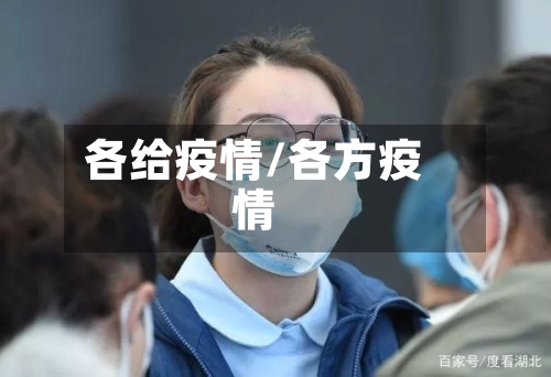 各给疫情/各方疫情-第2张图片