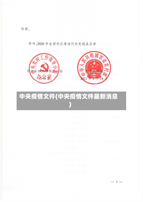 中央疫情文件(中央疫情文件最新消息)-第2张图片