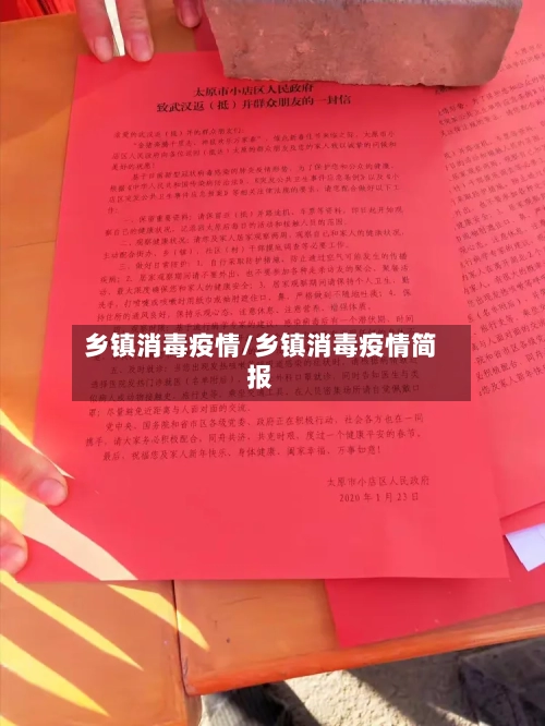 乡镇消毒疫情/乡镇消毒疫情简报