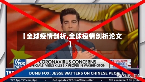 【全球疫情剖析,全球疫情剖析论文】