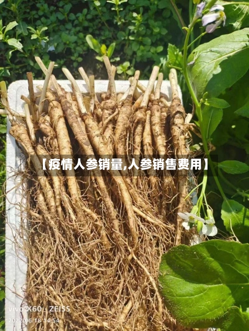 【疫情人参销量,人参销售费用】-第2张图片