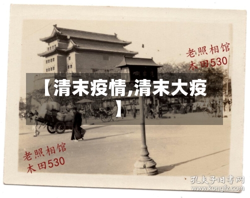 【清末疫情,清末大疫】-第3张图片
