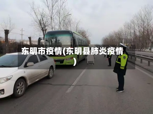 东明市疫情(东明县肺炎疫情)-第2张图片