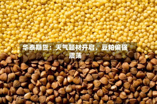 华泰期货：天气题材开启	，豆粕偏强震荡-第2张图片