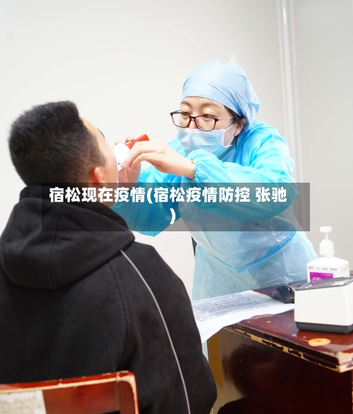 宿松现在疫情(宿松疫情防控 张驰)-第3张图片