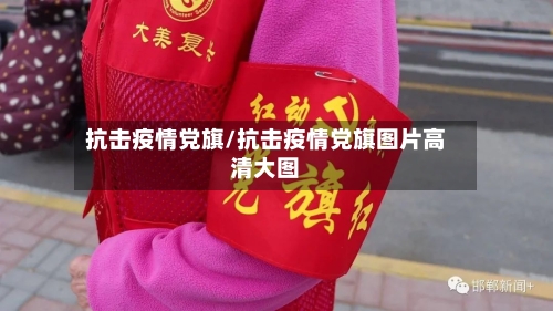 抗击疫情党旗/抗击疫情党旗图片高清大图