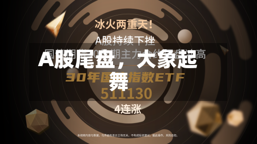 A股尾盘	，大象起舞-第3张图片