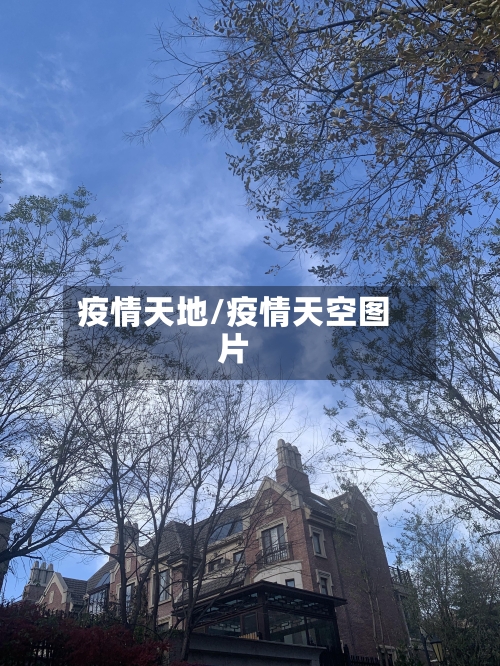 疫情天地/疫情天空图片
