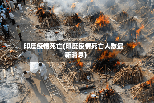 印度疫情死亡(印度疫情死亡人数最新消息)-第3张图片
