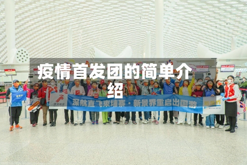 疫情首发团的简单介绍-第2张图片