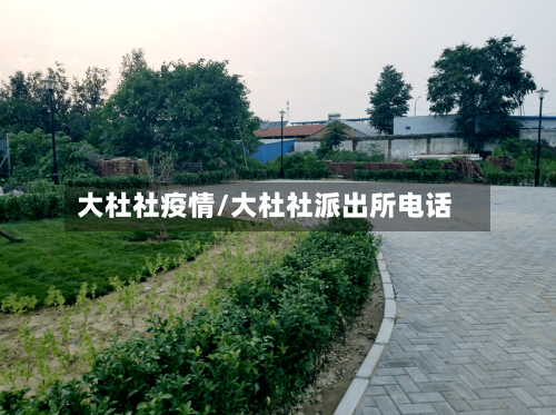 大杜社疫情/大杜社派出所电话
