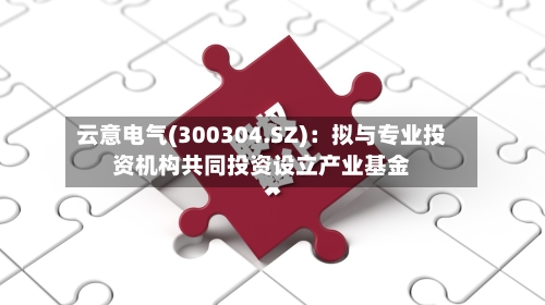 云意电气(300304.SZ)：拟与专业投资机构共同投资设立产业基金
