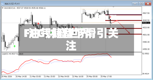 FPG财盛世界
:油气储备下滑引关注-第2张图片