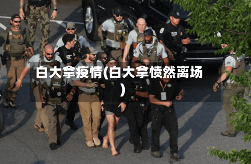 白大拿疫情(白大拿愤然离场)