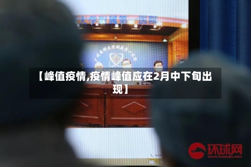 【峰值疫情,疫情峰值应在2月中下旬出现】-第3张图片