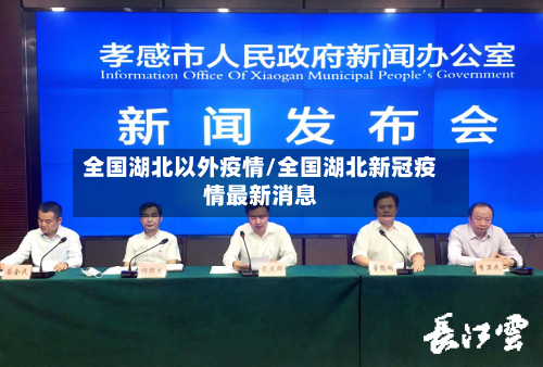 全国湖北以外疫情/全国湖北新冠疫情最新消息-第2张图片