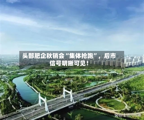 头部肥企秋销会“集体抢跑”，后市信号明晰可见！-第3张图片