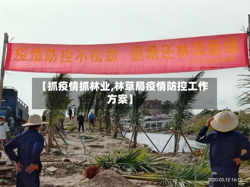 【抓疫情抓林业,林草局疫情防控工作方案】