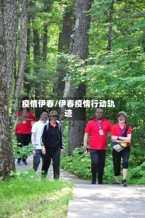 疫情伊春/伊春疫情行动轨迹-第1张图片