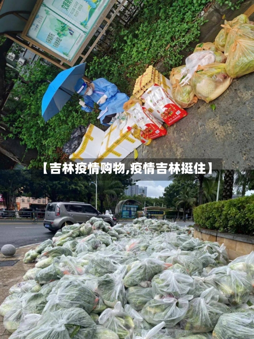 【吉林疫情购物,疫情吉林挺住】-第2张图片