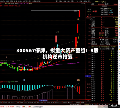 300567停牌，拟重大资产重组！9股机构逆市抢筹-第2张图片