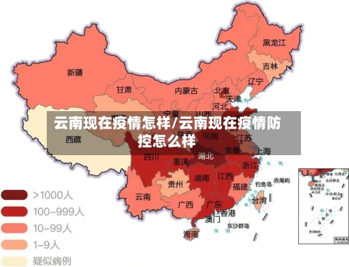 云南现在疫情怎样/云南现在疫情防控怎么样-第2张图片