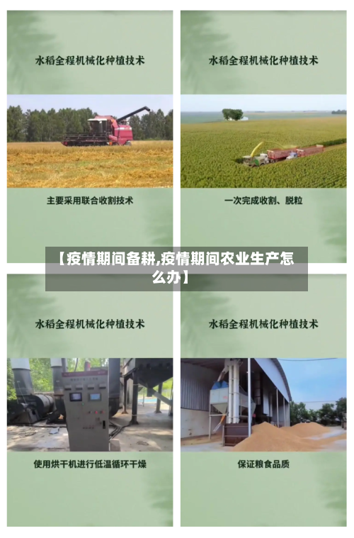 【疫情期间备耕,疫情期间农业生产怎么办】-第2张图片